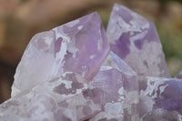 Natural Jacaranda Amethyst Clusters x 2 From Zambia