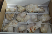 Natural White Cactus Flower Spirit Quartz Specimens x 12 From Boekenhouthoek, South Africa