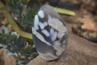 Polished Mixed Agate Standing Free Forms  x 3 From Madagascar