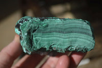 Natural Etched Malachite Specimens x 2 From Congo