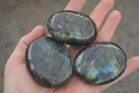 Polished Flashy Labradorite Palm Stones  x 12 From Tulear, Madagascar - TopRock