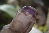 Natural Smokey Window Amethyst Crystals  x 3 From Chiredzi, Zimbabwe