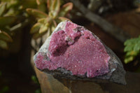 Natural Pink Salrose Cobaltion Dolomite Specimens  x 9 From Kakanda, Congo