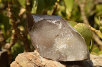 Polished Large Smokey Quartz Crystal With Polished Terminations & Natural Crystalline Sides x 1 From Malawi - TopRock