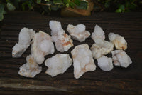 Natural White Cactus Flower Spirit Quartz Specimens x 12 From Boekenhouthoek, South Africa