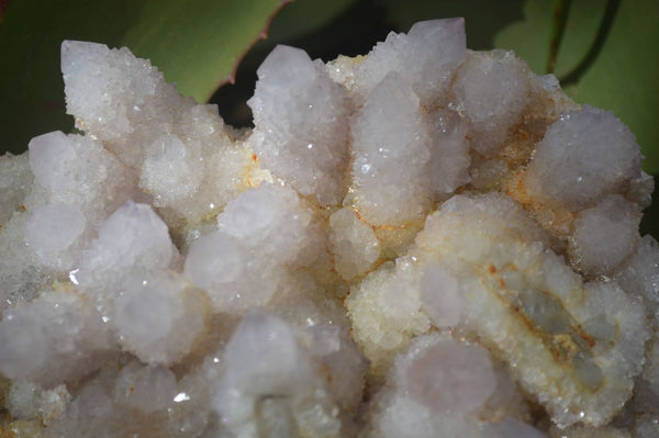 Natural Extra Large Spirit Quartz Crystal Cluster x 1 From Boekenhouthoek, South Africa