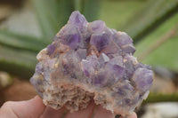 Natural Deep Jacaranda Amethyst Crystal Clusters  x 6 From Zambia - TopRock