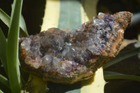 Natural Amethyst In Basalt Geode Specimens  x 6 From Zululand, South Africa - TopRock