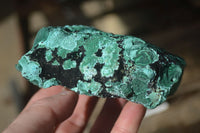 Natural Etched Malachite Specimens x 2 From Congo