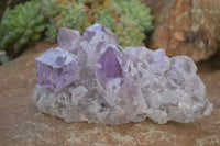 Natural Jacaranda Amethyst Clusters x 2 From Zambia