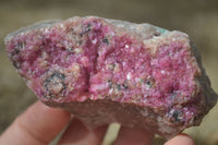 Natural Pink Salrose Cobaltion Dolomite Specimens  x 12 From Kakanda, Congo