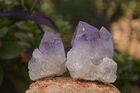 Natural Jacaranda Amethyst Crystals x 12 From Mumbwa, Zambia