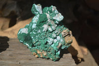 Natural Groovy Botryoidal Malachite With Chrysocolla Specimens x 2 From Kolwezi, Congo