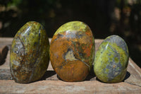 Polished Green Opal Standing Free Forms  x 6 From Madagascar - Toprock Gemstones and Minerals 