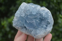 Natural Blue Celestite Crystal Specimens  x 3 From Sakoany, Madagascar - Toprock Gemstones and Minerals 