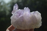 Natural Jacaranda Amethyst Clusters  x 3 From Mumbwa, Zambia - Toprock Gemstones and Minerals 