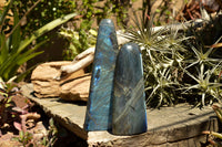 Polished Labradorite Standing Free Forms With Intense Blue Flash x 2 From Sakoany, Madagascar - TopRock