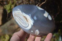 Polished Mixed Agate Standing Free Forms  x 3 From Madagascar