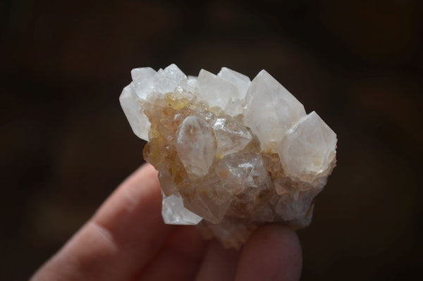 Natural White Cactus Flower Spirit Quartz Specimens x 12 From Boekenhouthoek, South Africa