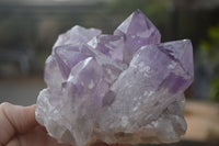 Natural Jacaranda Amethyst Clusters x 2 From Zambia