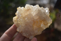 Natural Limonite Quartz Clusters x 12 From Solwezi, Zambia