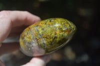 Polished Green Opal Standing Free Forms  x 6 From Madagascar - Toprock Gemstones and Minerals 