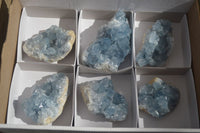 Natural Blue Celestite Crystal Specimens  x 6 From Madagascar - Toprock Gemstones and Minerals 