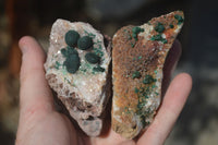 Natural Rare Ball Malachite On Drusy Quartz & Dolomite Matrix  x 6 From Kambove, Congo - Toprock Gemstones and Minerals 