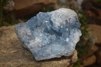 Natural Blue Celestite Geode Specimen  x 1 From Sakoany, Madagascar