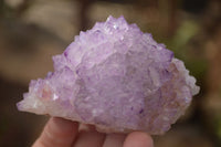 Natural Spirit Amethyst Quartz Clusters x 2 From Boekenhouthoek, South Africa