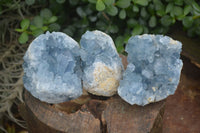 Natural Blue Celestite Crystal Specimens  x 3 From Sakoany, Madagascar - Toprock Gemstones and Minerals 