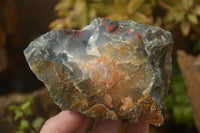 Natural Rough Bloodstone Cobbed Specimens  x 12 From Swaziland