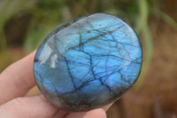 Polished Flashy Labradorite Palm Stones  x 12 From Tulear, Madagascar - TopRock