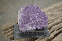 Natural Deep Jacaranda Amethyst Crystal Clusters  x 6 From Zambia - TopRock