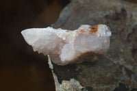 Natural White Cactus Flower Spirit Quartz Specimens x 12 From Boekenhouthoek, South Africa