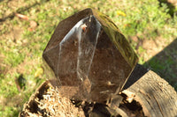 Polished Extra Large Twin Peaks Smokey Quartz Display Piece  x 1 From Madagascar - TopRock