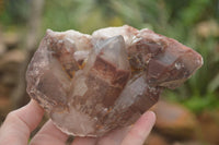 Natural Red Hematoid Quartz Specimens x 3 From Karoi, Zimbabwe - TopRock