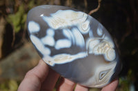 Polished Mixed Agate Standing Free Forms  x 3 From Madagascar