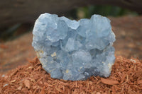 Natural Blue Celestite Crystal Specimens  x 3 From Sakoany, Madagascar - Toprock Gemstones and Minerals 