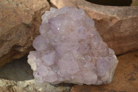 Natural Spirit Amethyst Quartz Clusters x 2 From Boekenhouthoek, South Africa