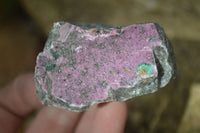 Natural Pink Salrose Cobaltion Dolomite Specimens  x 9 From Kakanda, Congo