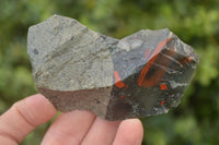 Natural Rough Bloodstone Cobbed Specimens  x 12 From Swaziland