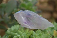 Natural Single Jacaranda Amethyst Crystals  x 24 From Mumbwa, Zambia - Toprock Gemstones and Minerals 