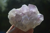 Natural Jacaranda Amethyst Clusters  x 3 From Mumbwa, Zambia - Toprock Gemstones and Minerals 