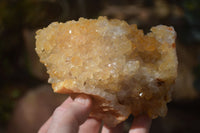 Natural Limonite Quartz Clusters x 12 From Solwezi, Zambia