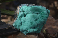 Natural Etched Malachite Specimens x 2 From Congo