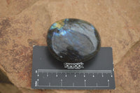 Polished Flashy Labradorite Palm Stones  x 12 From Tulear, Madagascar - TopRock