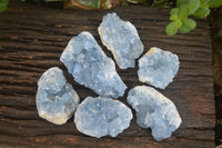 Natural Blue Celestite Crystal Specimens  x 6 From Madagascar - Toprock Gemstones and Minerals 