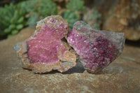 Natural Pink Salrose Cobaltion Dolomite Specimens  x 12 From Kakanda, Congo