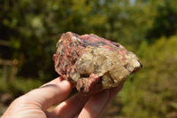 Natural Rough Pink & Black Rhodonite Specimens  x 6 From Zimbabwe - TopRock